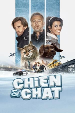 chien-et-chat