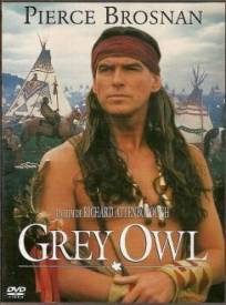 Grey Owl