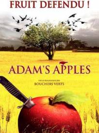 adams-apples-adams-aeligb